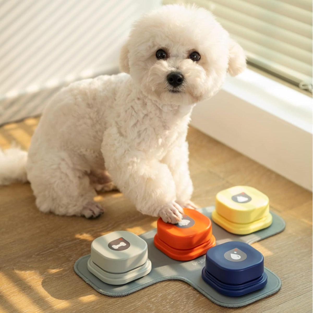 Dog Buttons for Communication