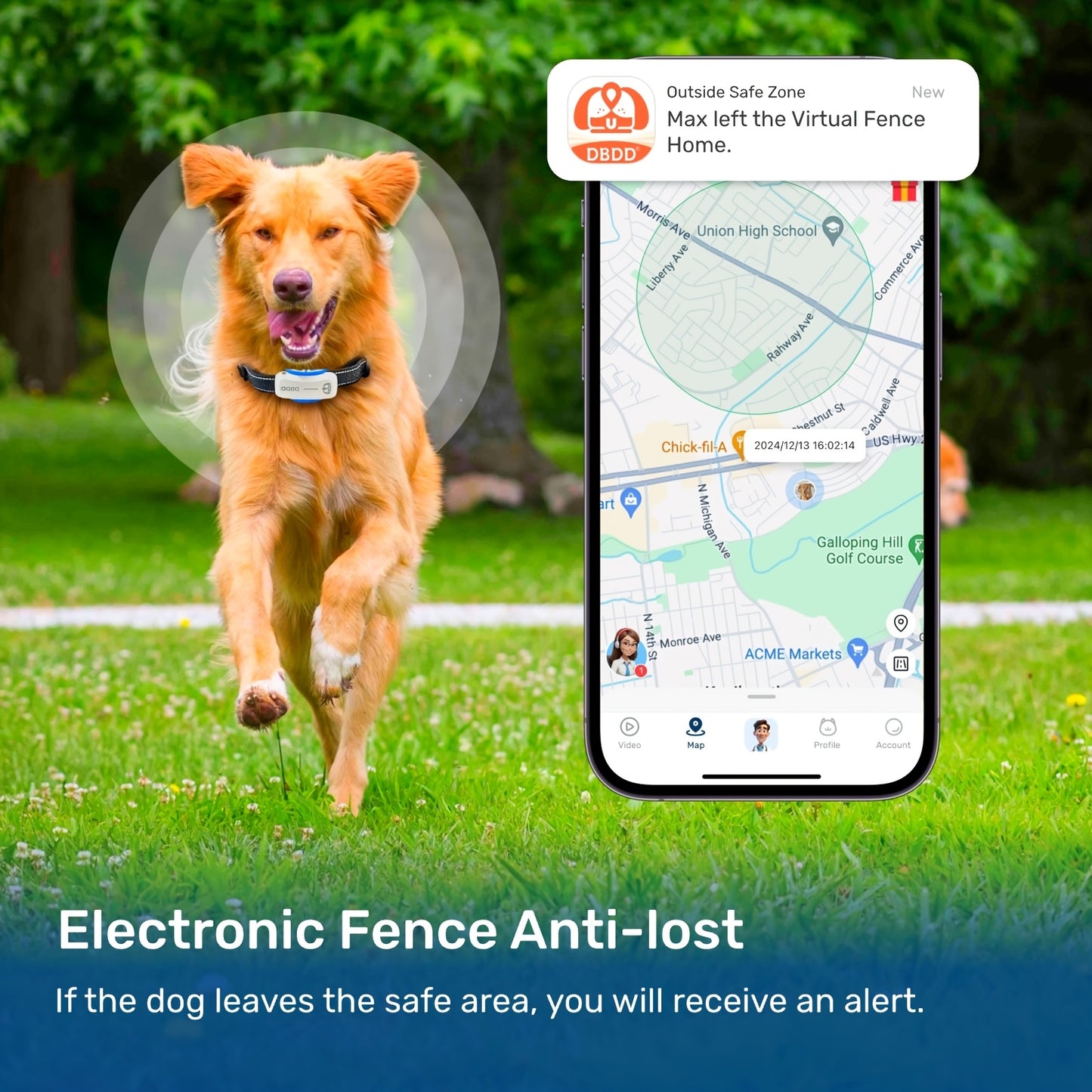 AI GPS Tracker for Dogs (30lbs+)