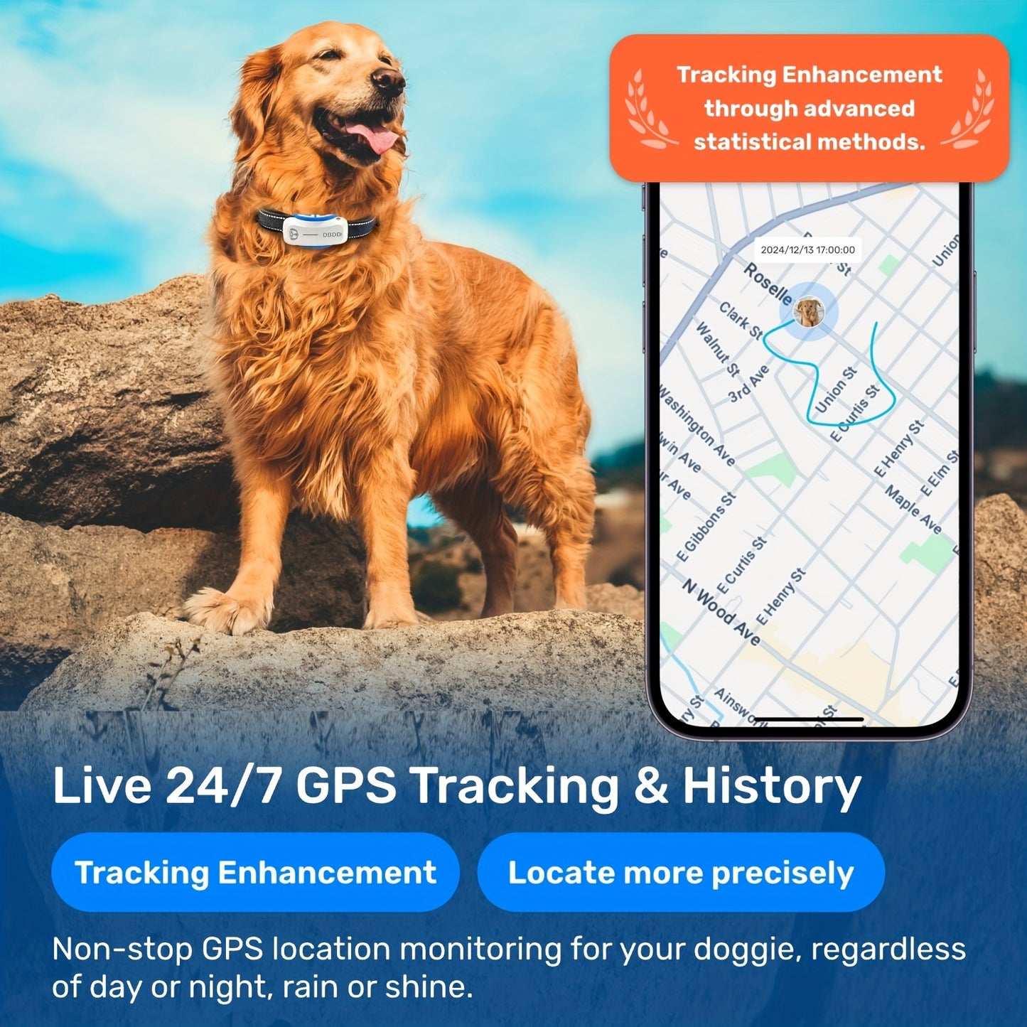 AI GPS Tracker for Dogs (30lbs+)