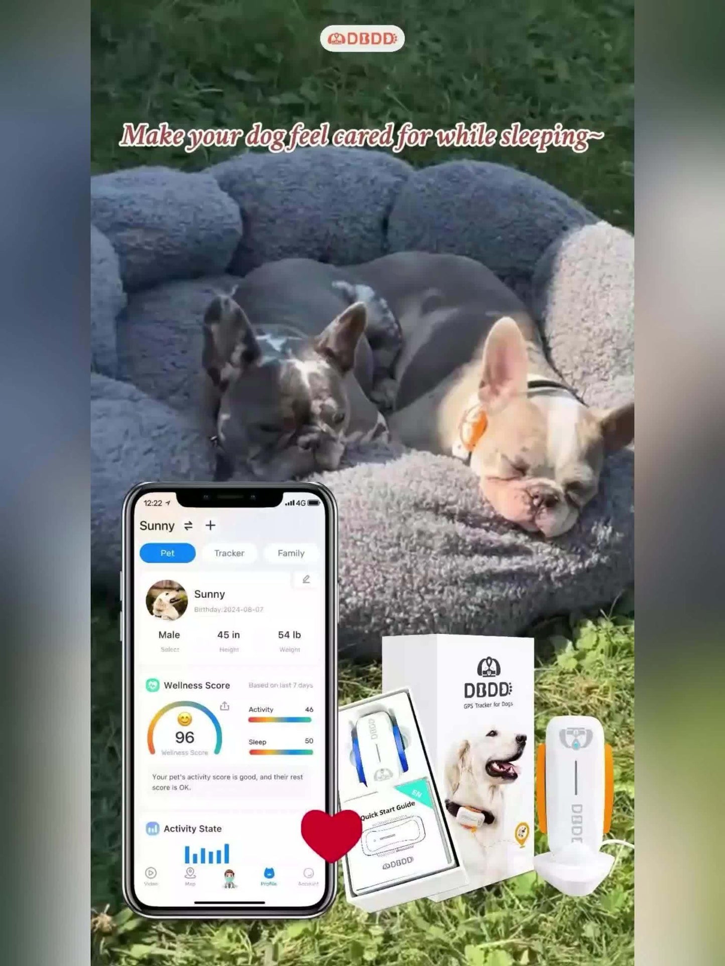AI GPS Tracker for Dogs (30lbs+)