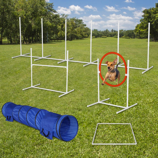 6pcs PVC Agility Training Equipment Set