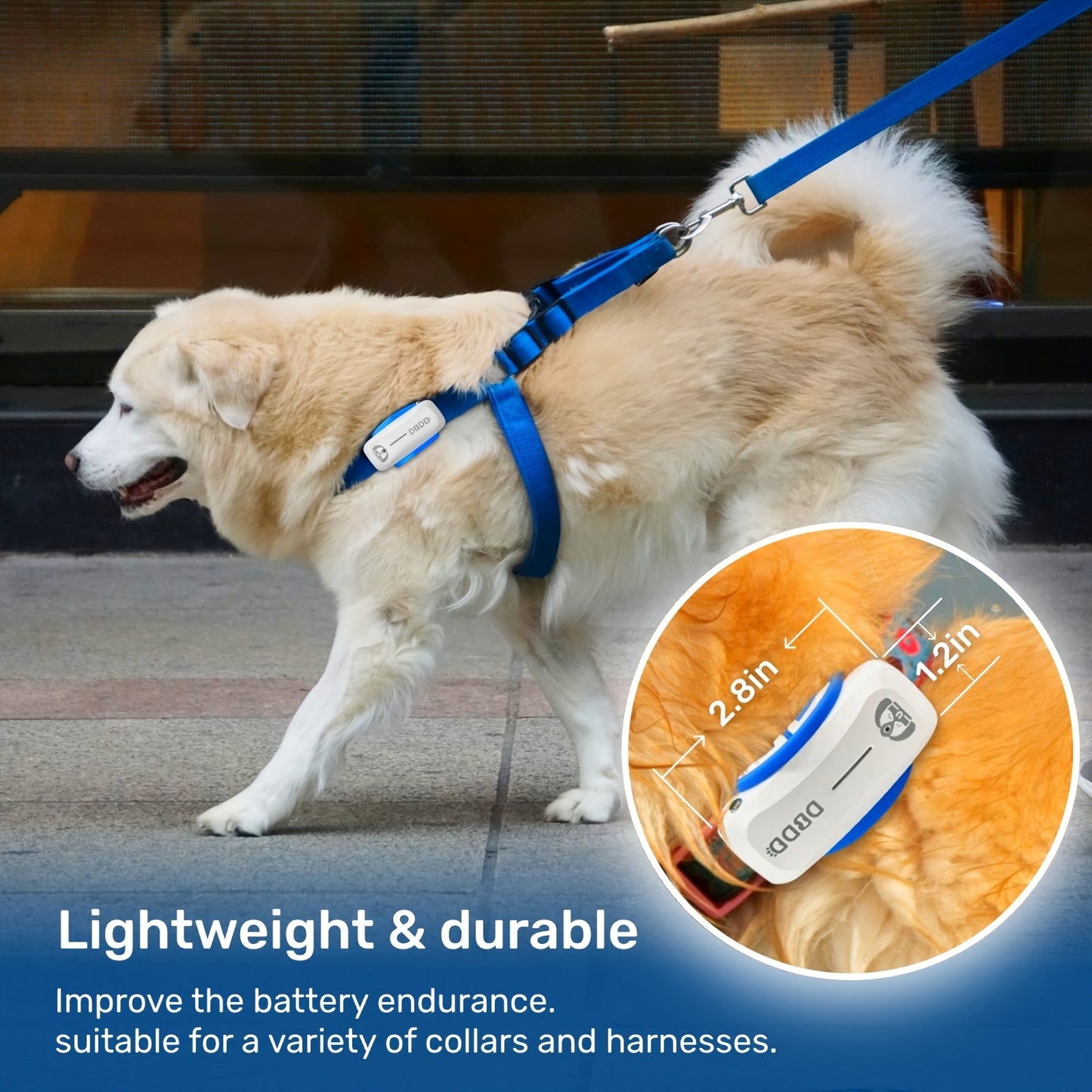 AI GPS Tracker for Dogs (30lbs+)