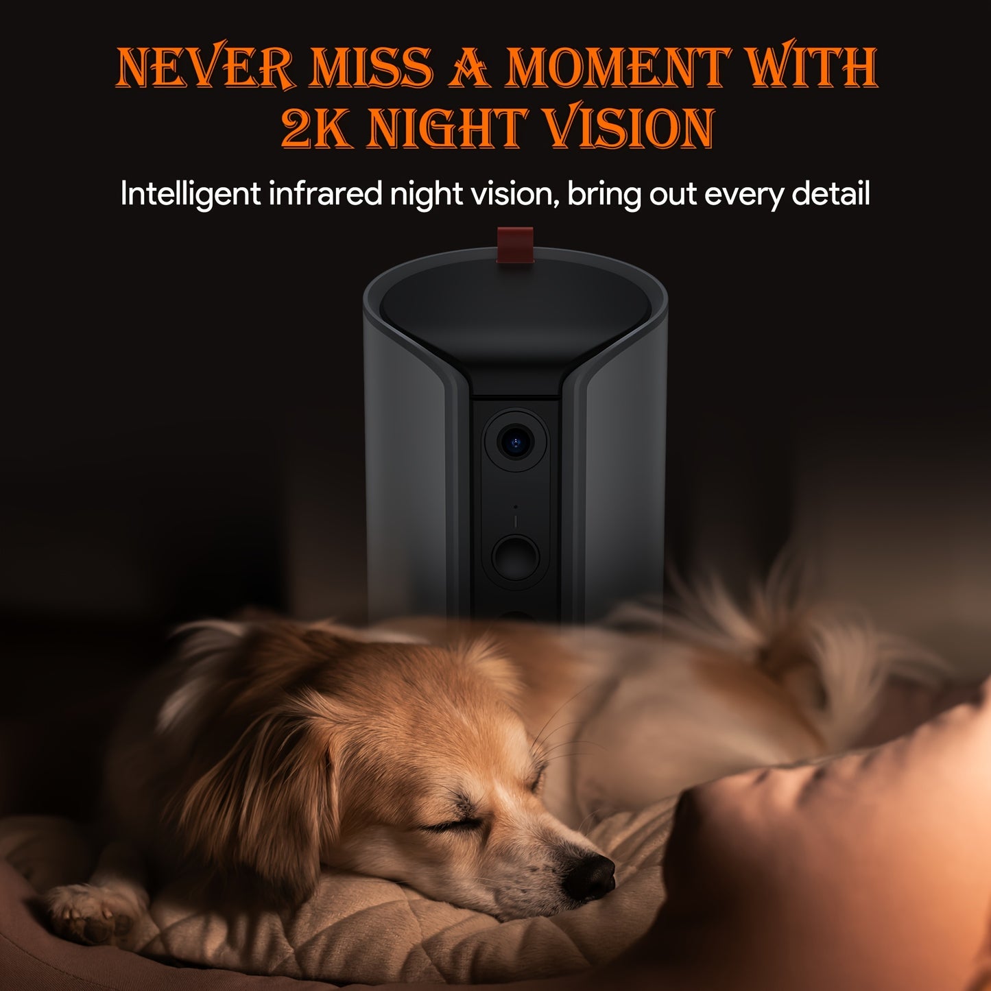 WiFi Dog Camera With Treat Dispenser