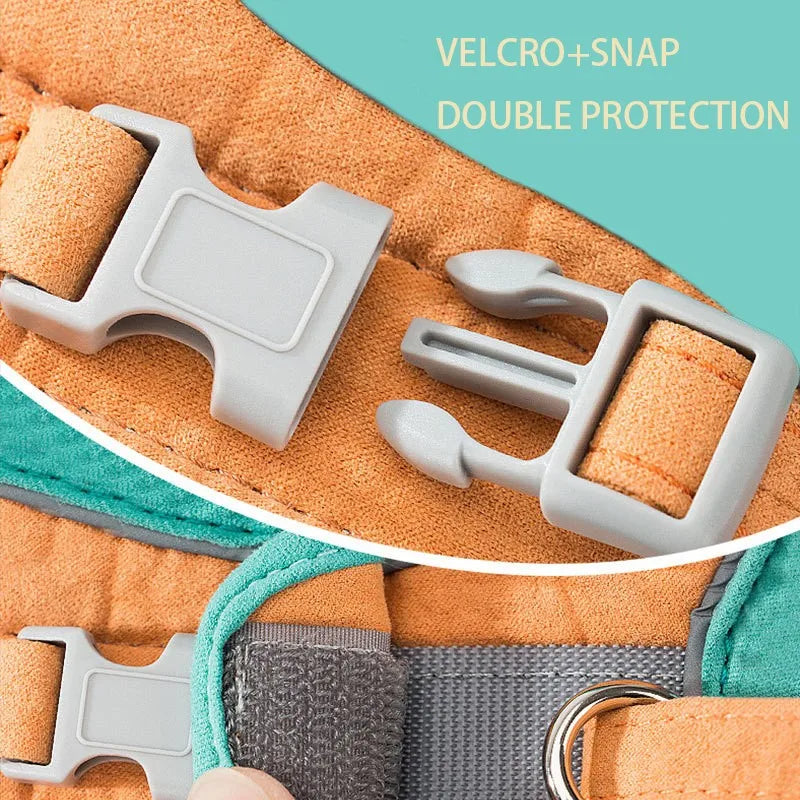 Night Fluoresce Universal Chest Harness/Leash
