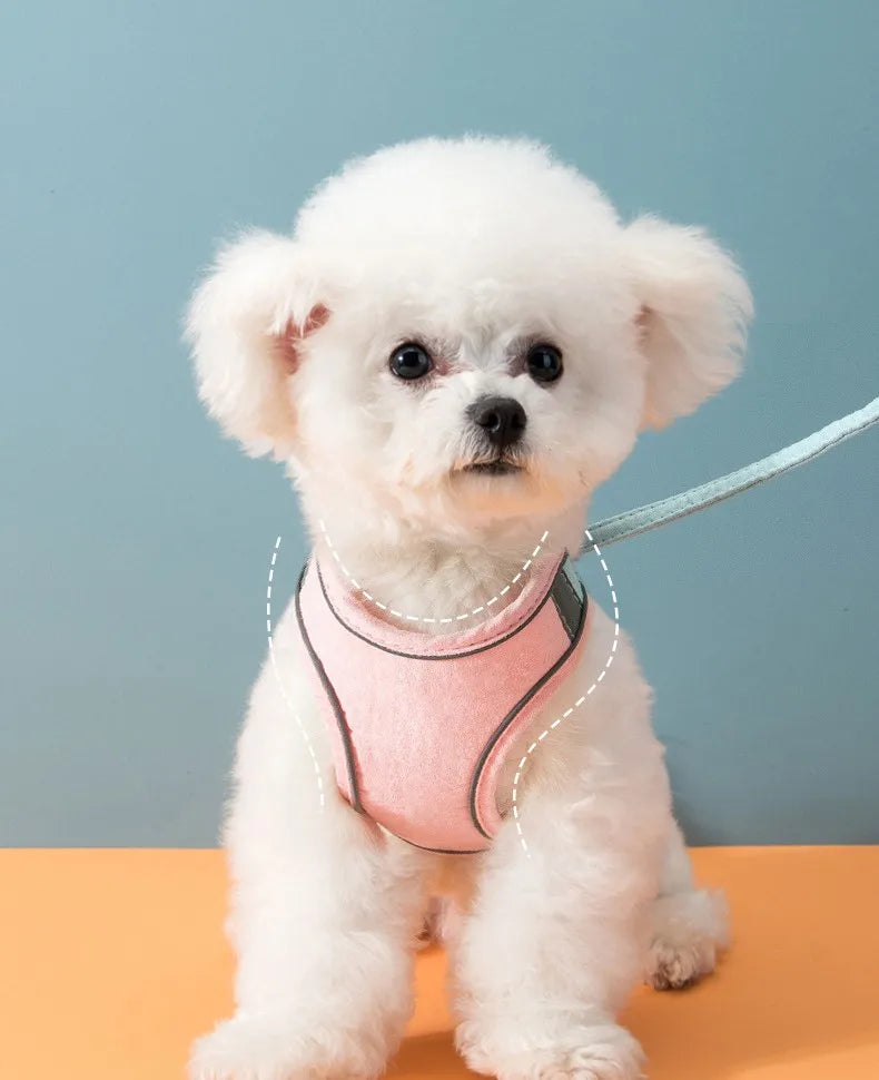 Night Fluoresce Universal Chest Harness/Leash