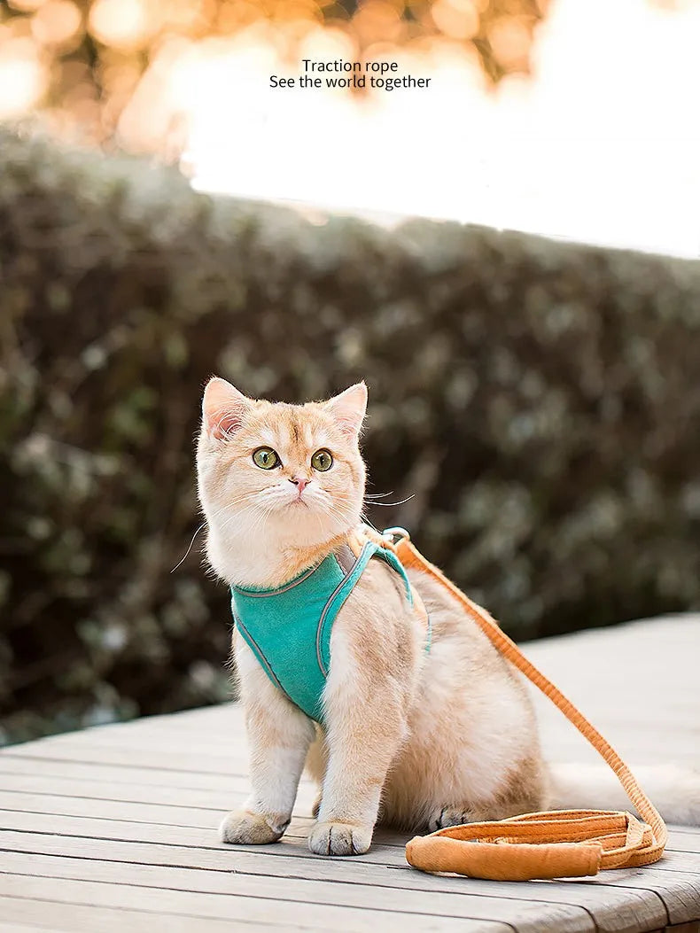 Night Fluoresce Universal Chest Harness/Leash