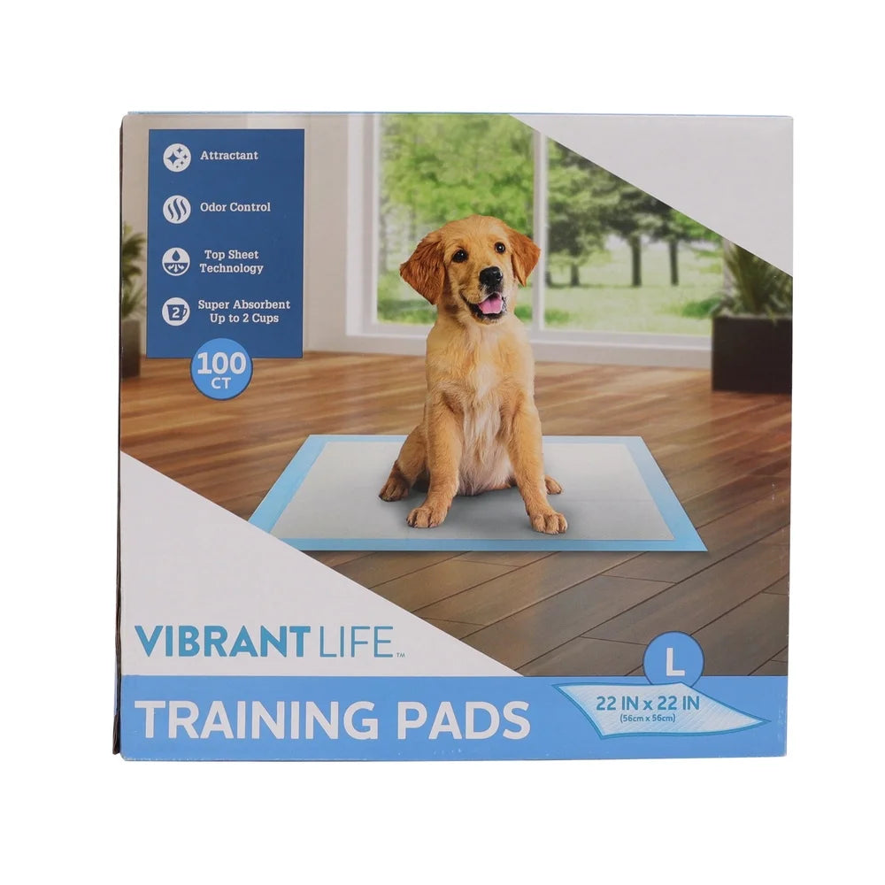 100 Count Absorbent Disposable  Pads