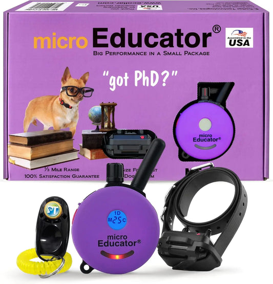 Training Collar with Remote