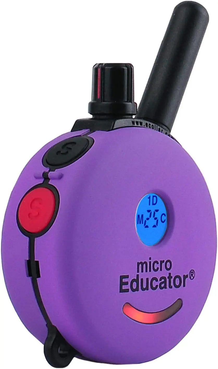 Training Collar with Remote