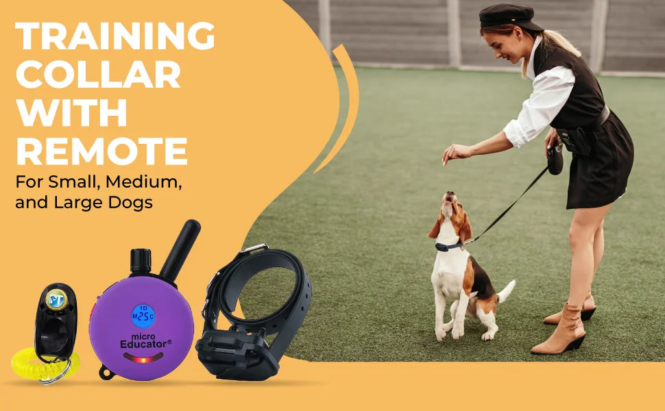 Training Collar with Remote
