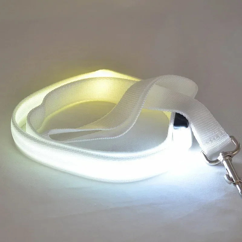 Flashing  LED Glowing Dog Leash