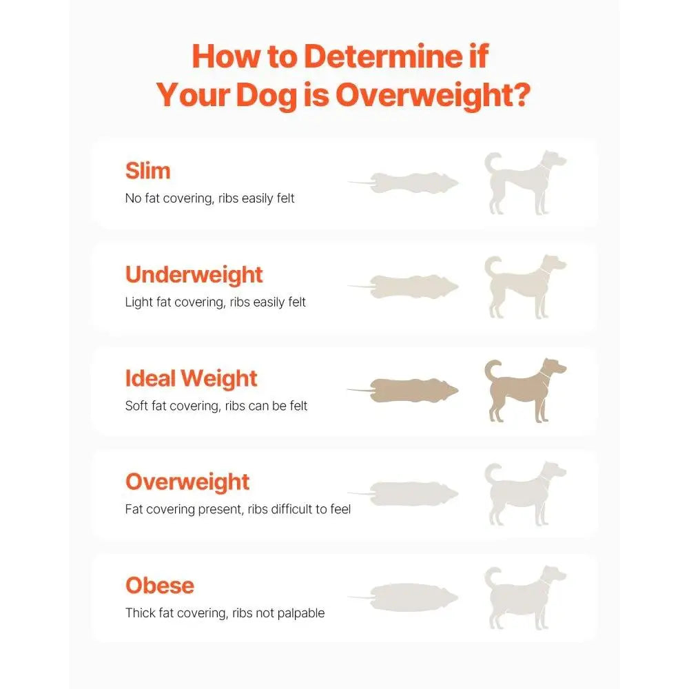 Electric Dog Treadmill - medium Dogs