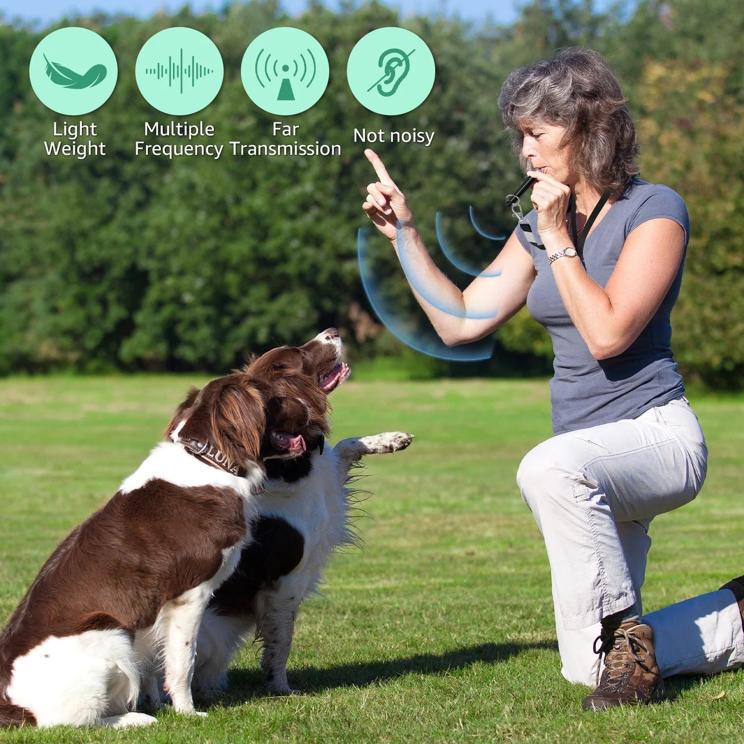 Bark Deterrent Whistle Control Dog