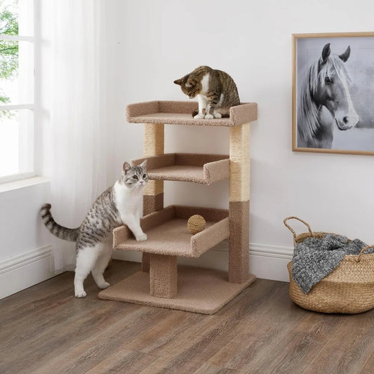 Multi - Level Tree for Large Cats