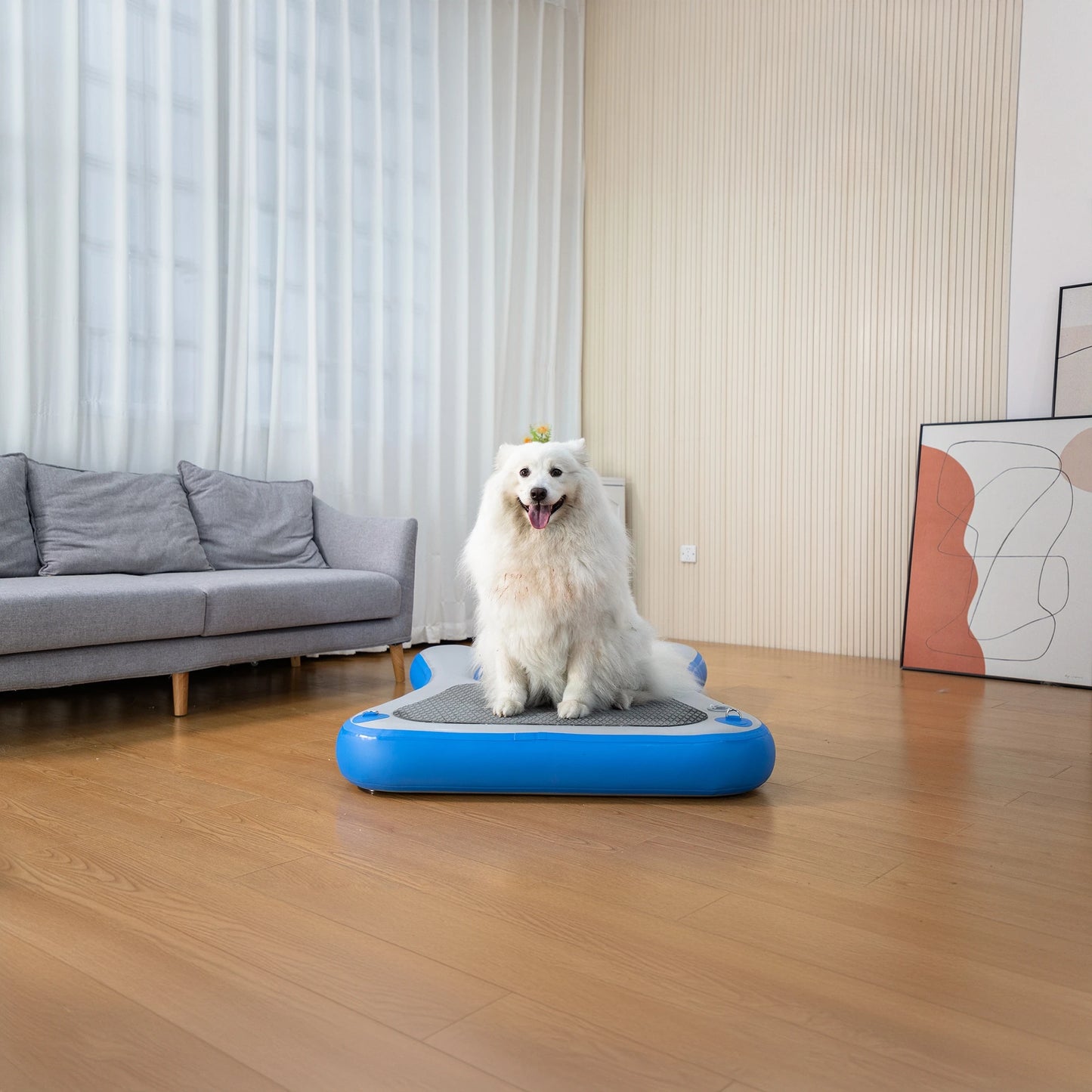 Inflatable Floating Dog Ramp