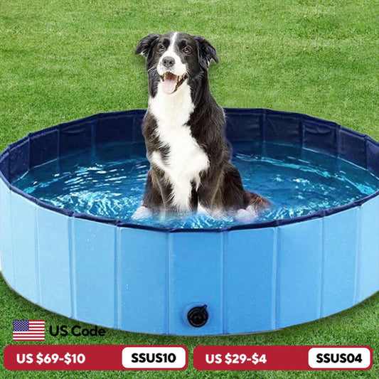 Dog Swimming Pool
