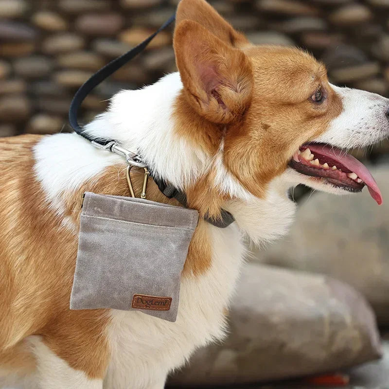 Hands Free Portable Dog Training, Waist Treat Bag