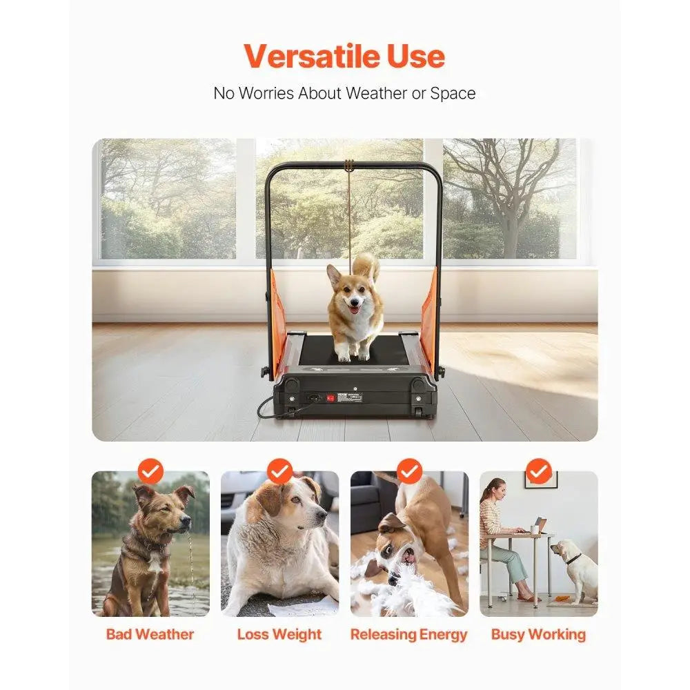 Electric Dog Treadmill - medium Dogs