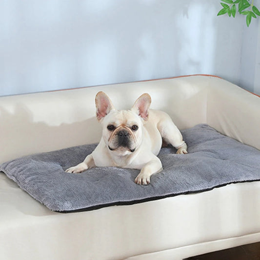 Cats And Dogs Cute Thickened Blanket