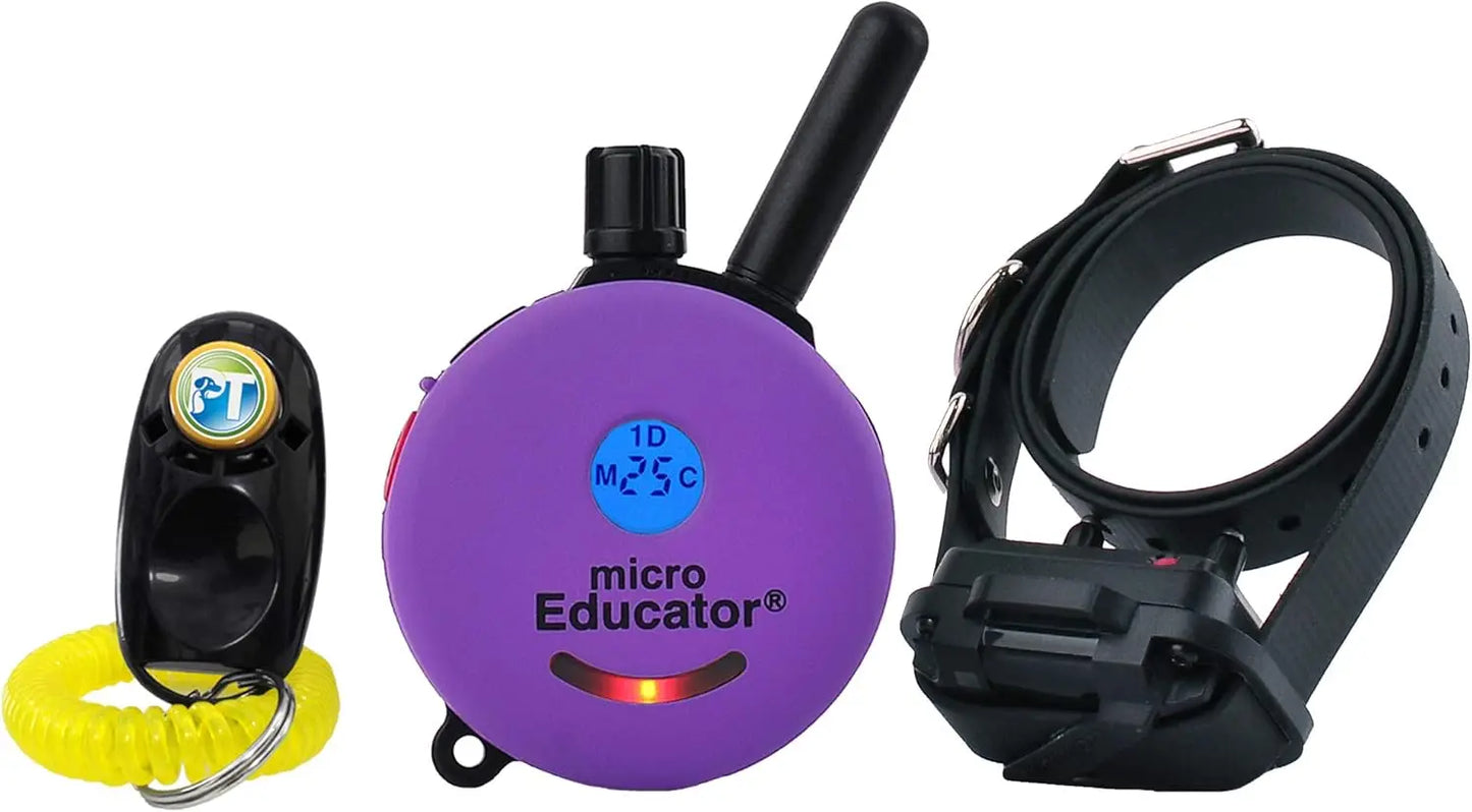 Training Collar with Remote
