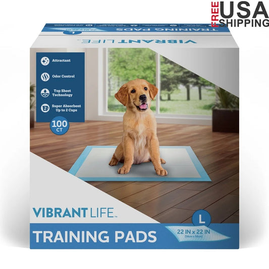 100 Count Absorbent Disposable  Pads