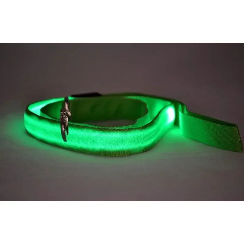 Flashing  LED Glowing Dog Leash