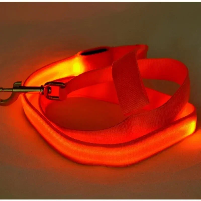 Flashing  LED Glowing Dog Leash