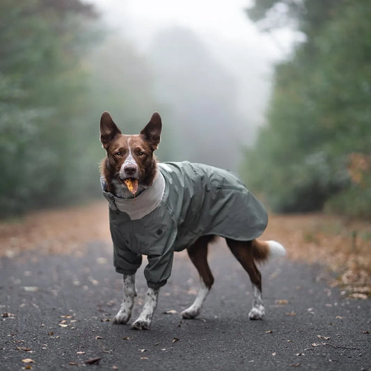 Water-Resistant Dog Raincoat Jacket,