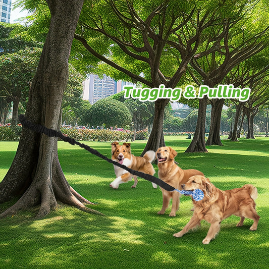 Interactive Rope Toy Tug Of War